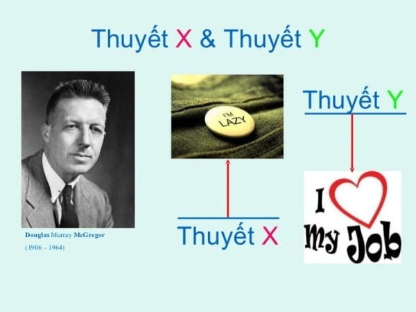 Học thuyết X,Y,Z là gì? Ứng dụng X Y Z vào quản trị nhân sự