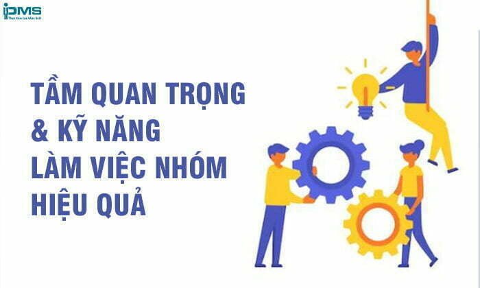 Kỹ năng làm việc nhóm là gì? 9 Yếu tố phát huy hết công suất của nhóm