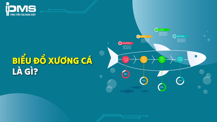 Biểu đồ nhân quả là gì? Tác dụng, phân loại và cách triển khai biểu đồ