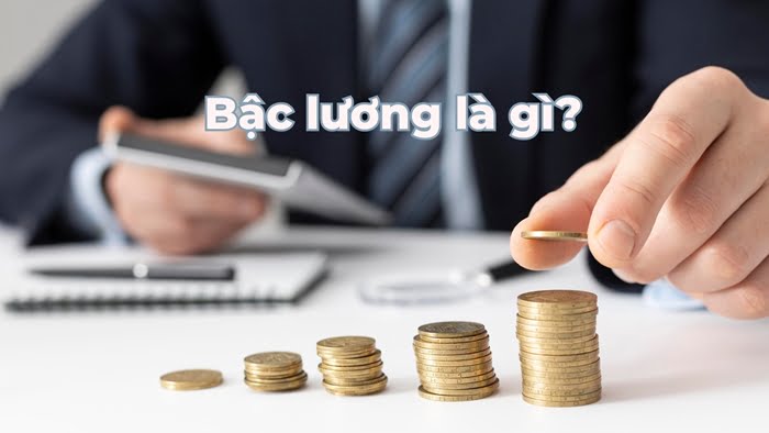 Bậc lương là gì? Cách tính bậc lương trong Doanh nghiệp chính xác