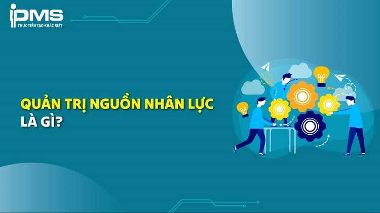 Quản trị nguồn nhân lực là gì? Vai trò, mục tiêu và chức năng