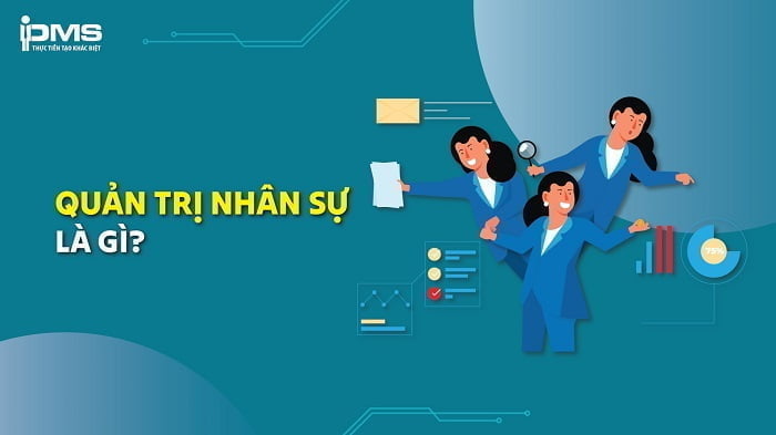 Quản trị nhân sự (HRM): Vai trò, Trách nhiệm và Kỹ năng thiết yếu