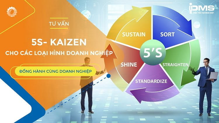 Dịch vụ tư vấn và triển khai 5S cho các loại hình Doanh nghiệp