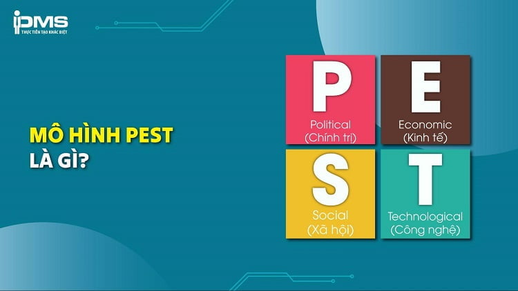 Mô hình PEST – Phân tích để hiểu rõ môi trường kinh doanh