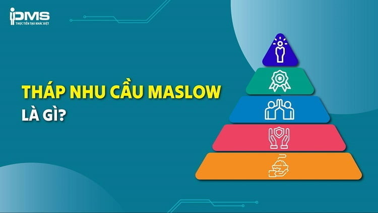 Tháp nhu cầu Maslow là gì? Giải thích từng cấp độ Maslow và ví dụ