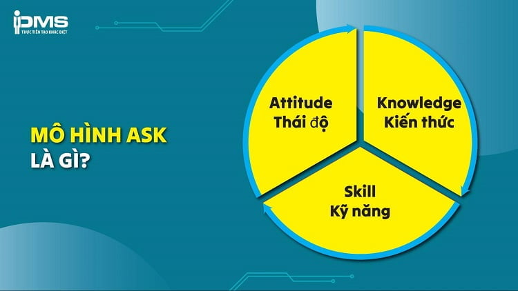 ASK là gì? Ứng dụng mô hình ASK trong đánh giá năng lực nhân sự