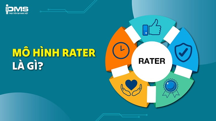 Mô hình RATER là gì? Phân tích 5 yếu tố chính và các bước ứng dụng