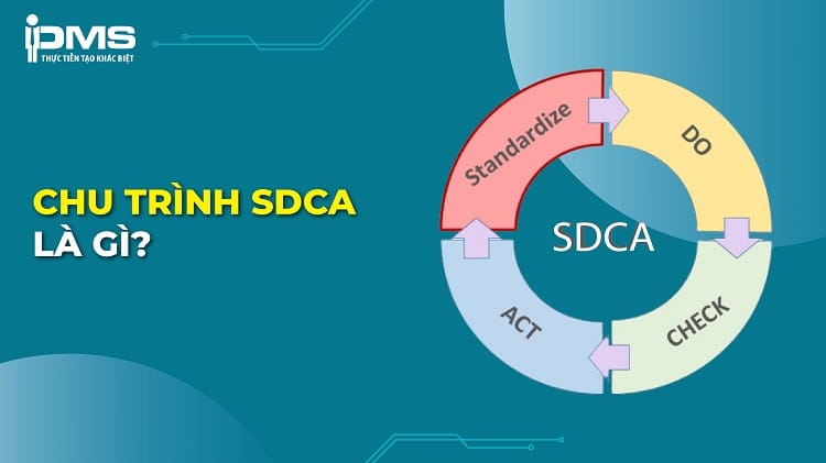 SDCA là gì? Lợi ích & sự khác nhau giữa chu trình SDCA và PDCA
